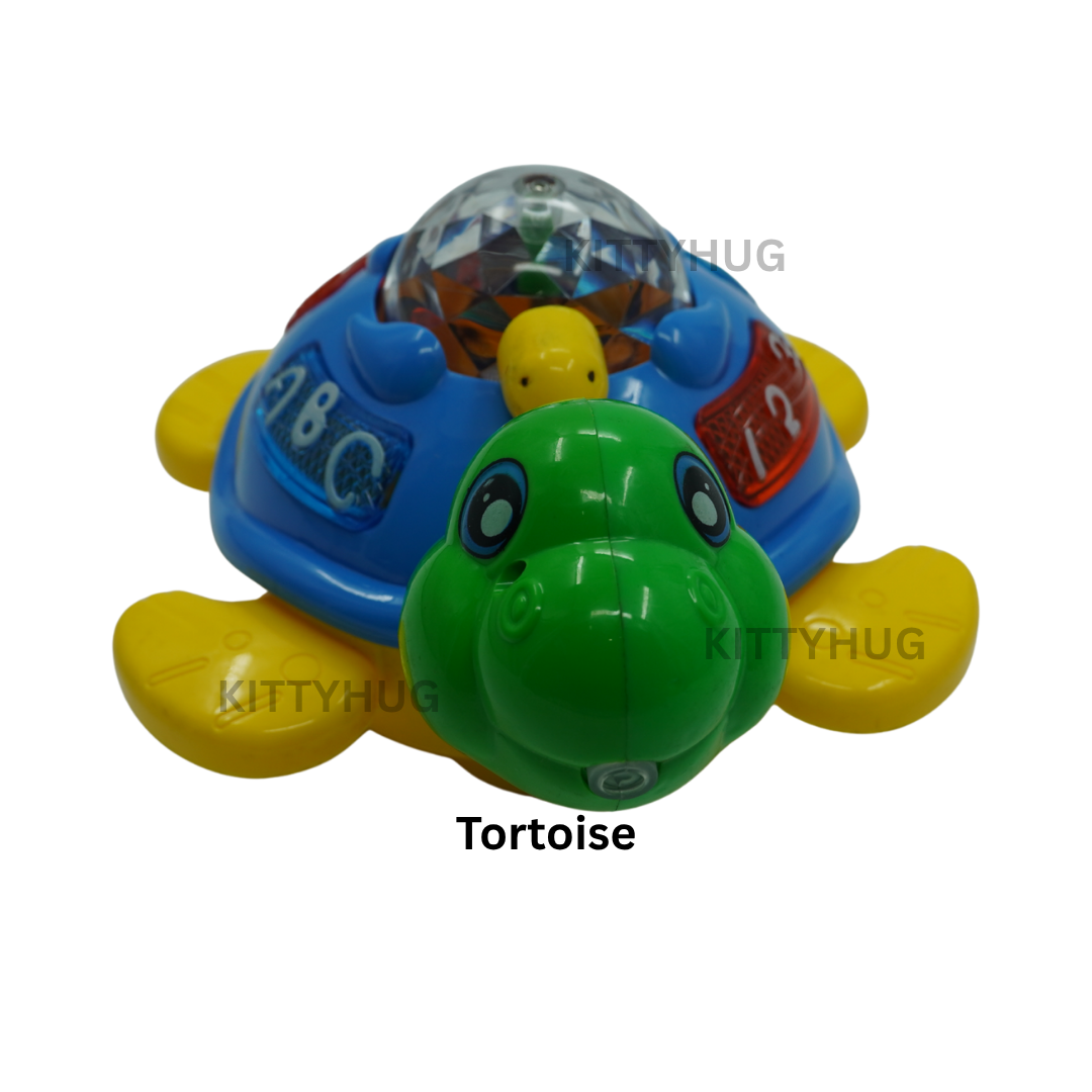 Tortoise