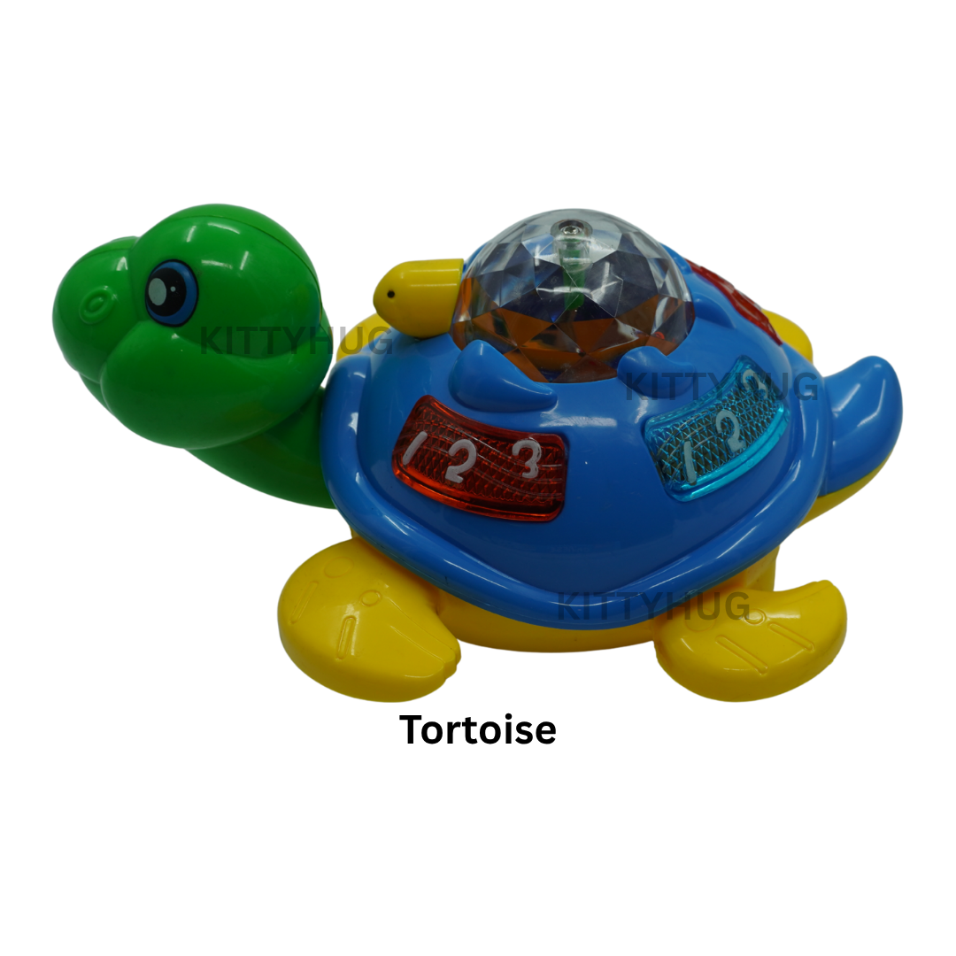 Tortoise