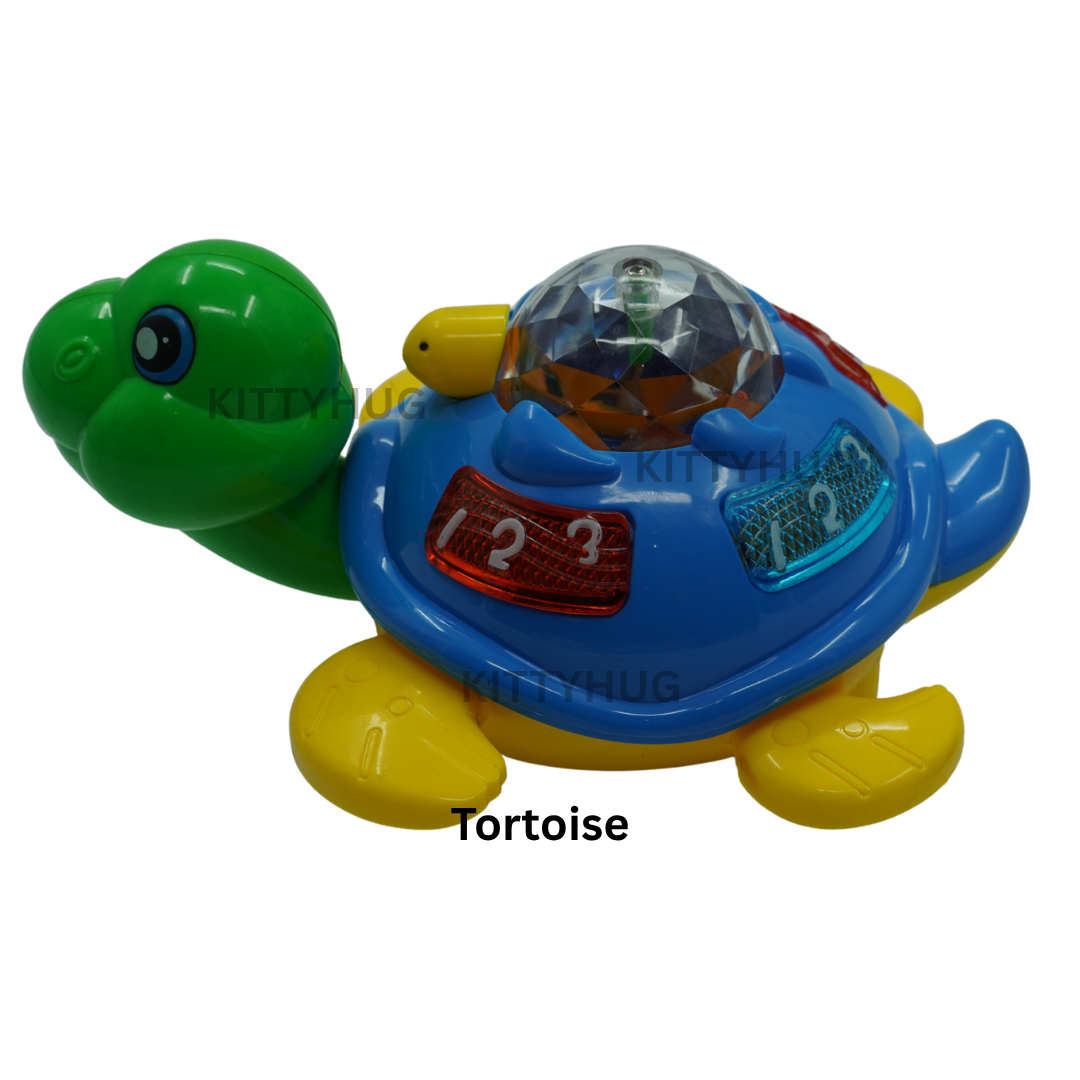 Tortoise
