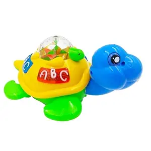 Tortoise